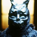 DONNIE DARKO Image 2