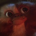 GREMLINS Image 13