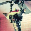 GREMLINS Image 15