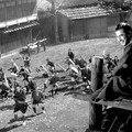 Akira Kurosawa en 6 films Image 1