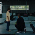 OLLIE Image 5