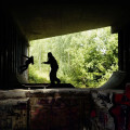 OLLIE Image 3