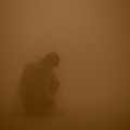 ELSE Image 9